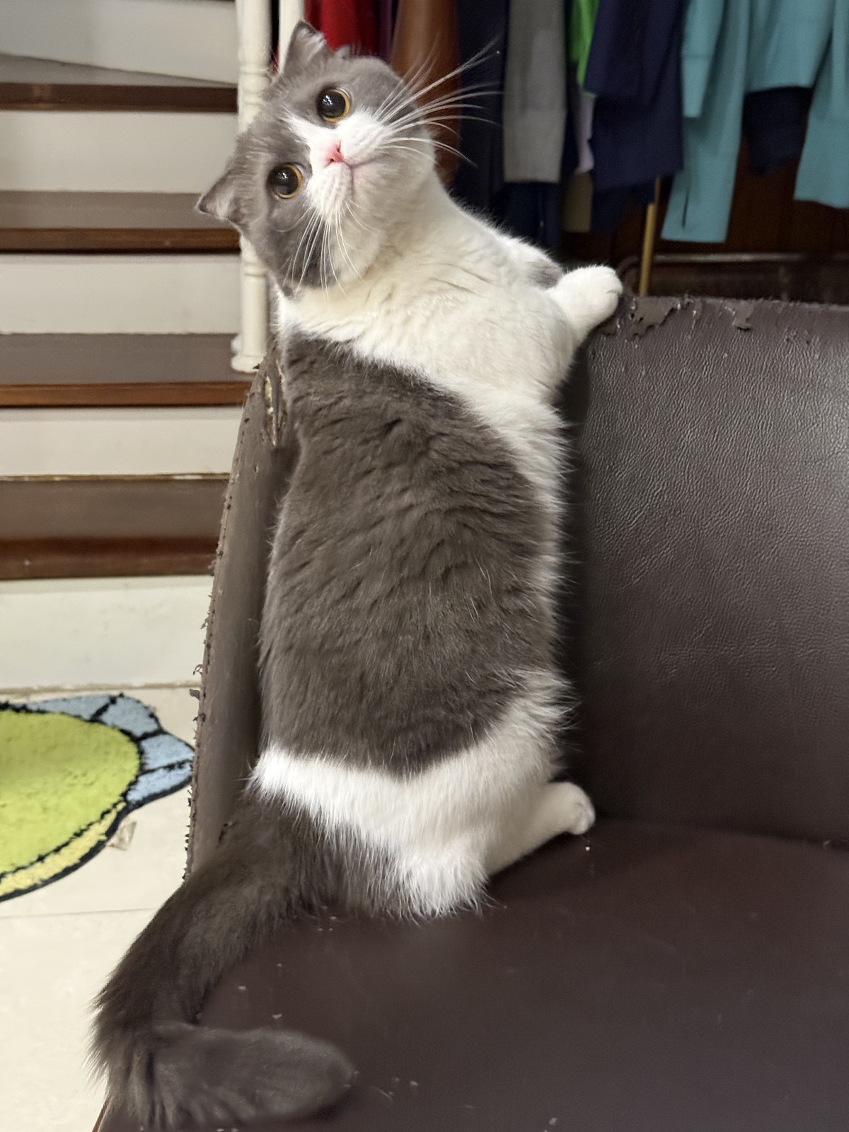 Nấm, on the sofa